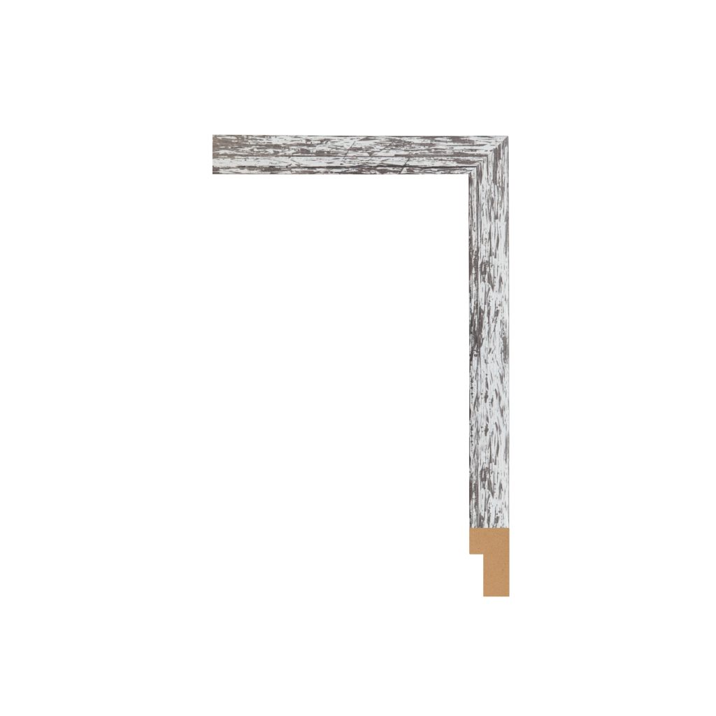 BW217-1605 Front Straight Profile