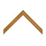 BW217-1619 Front View