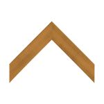 BW26-1619 Front View