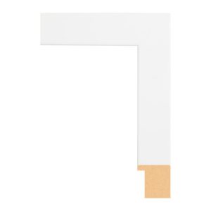 BW59-409 Front Straight Profile