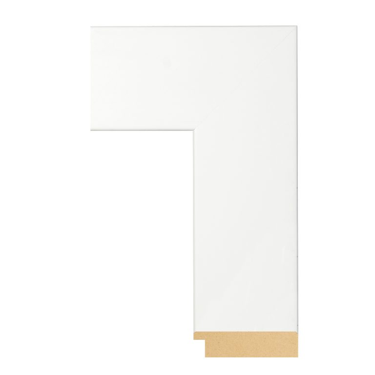 BW66-409 Front Straight Profile