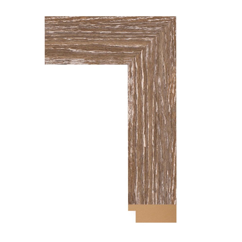 BW74-1912 Front Straight Profile