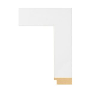 BW74-409 Front Straight Profile