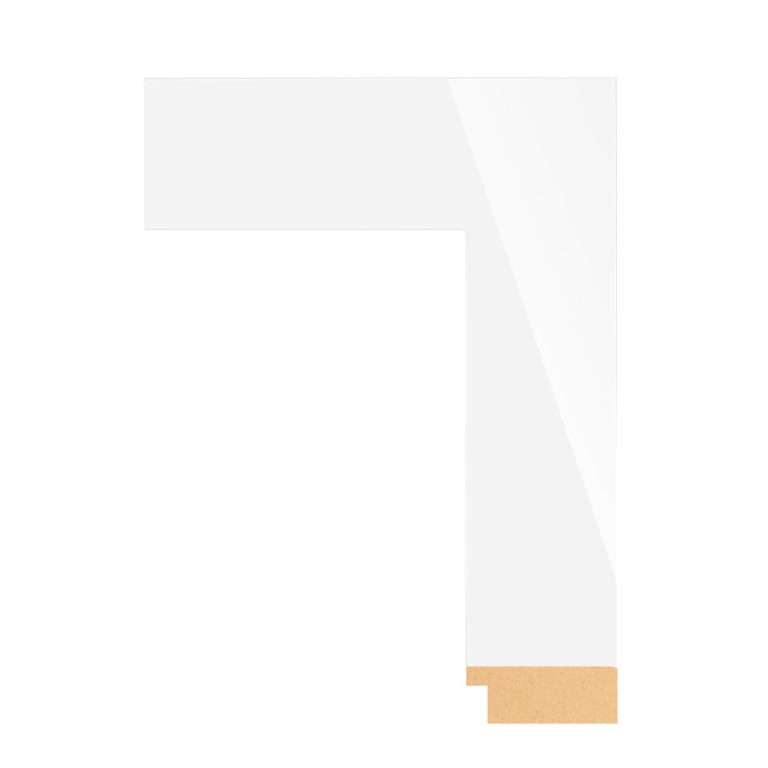 BW74-460 Front Straight Profile