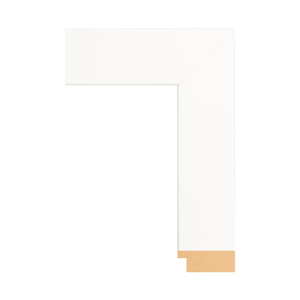 BW74 074 Front Straight Profile