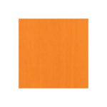 Orange Colori 028 Swatch