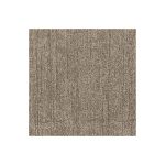 Muted Warm Silver 1620 Swatch