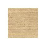 Trevi Gold 361 Swatch