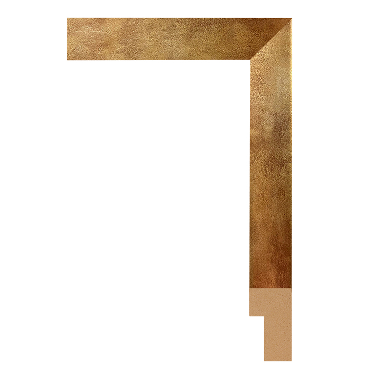 Venetian Gold BW217 - Framerica