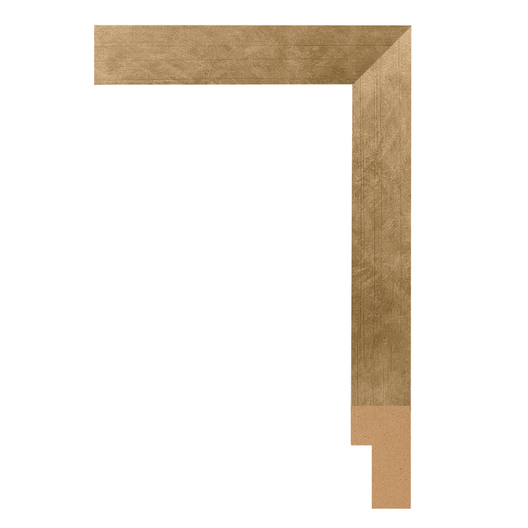 BW217-353 Front Straight