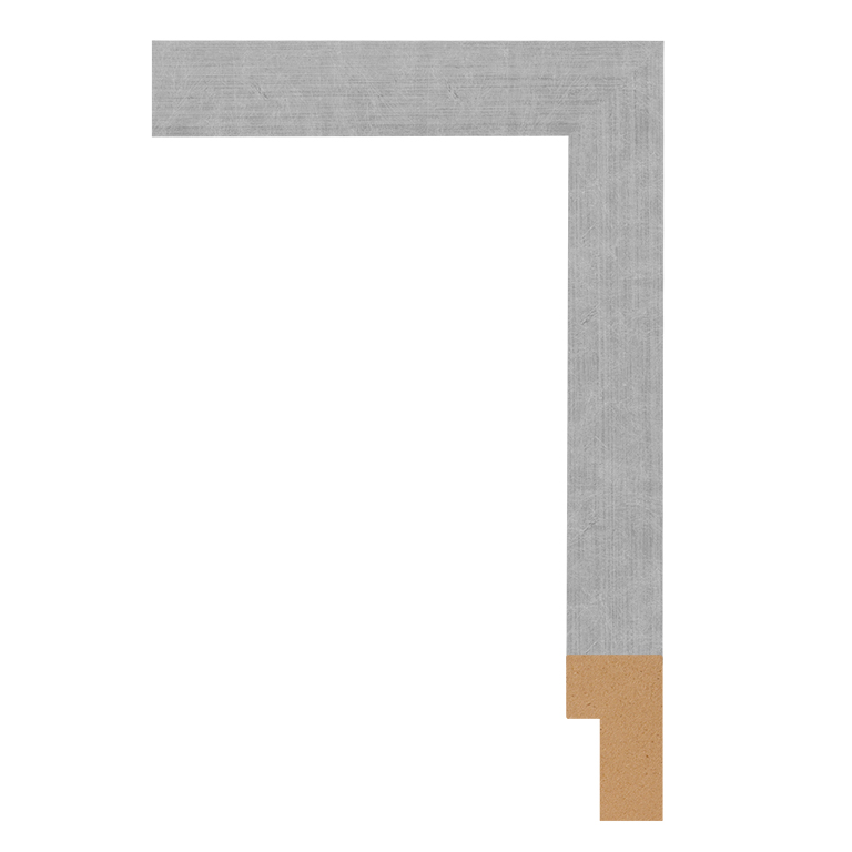 BW217-362 Front Straight Profile