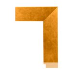 BW74-352 Front Straight Profile