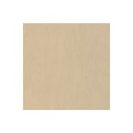 Super Matte Pale Gold Stainless 365 Swatch