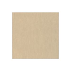 Super Matte Pale Gold Stainless 365 Swatch