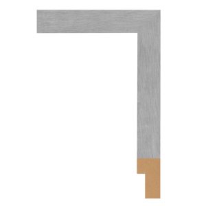 BW217-366 Front Straight