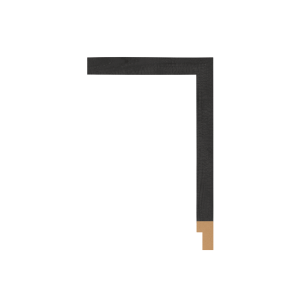 BW217-370 Front Straight